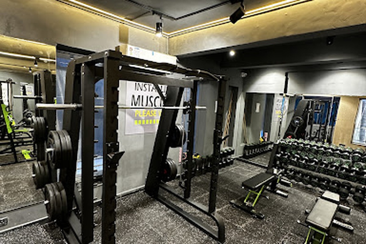 Olympic Squat Cage, Barbell Platforms and Dumbbell Racks