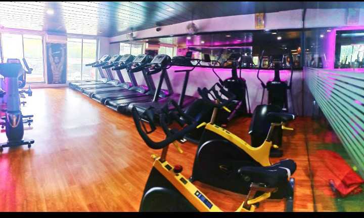 ACTIVE GYM Free Weights & Racks