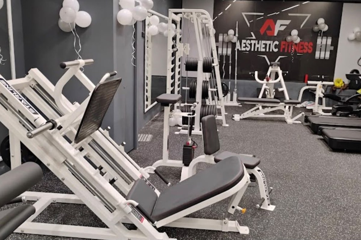Aesthetic Fitness Starline Leg Press, Power Cage and Wall Mural
