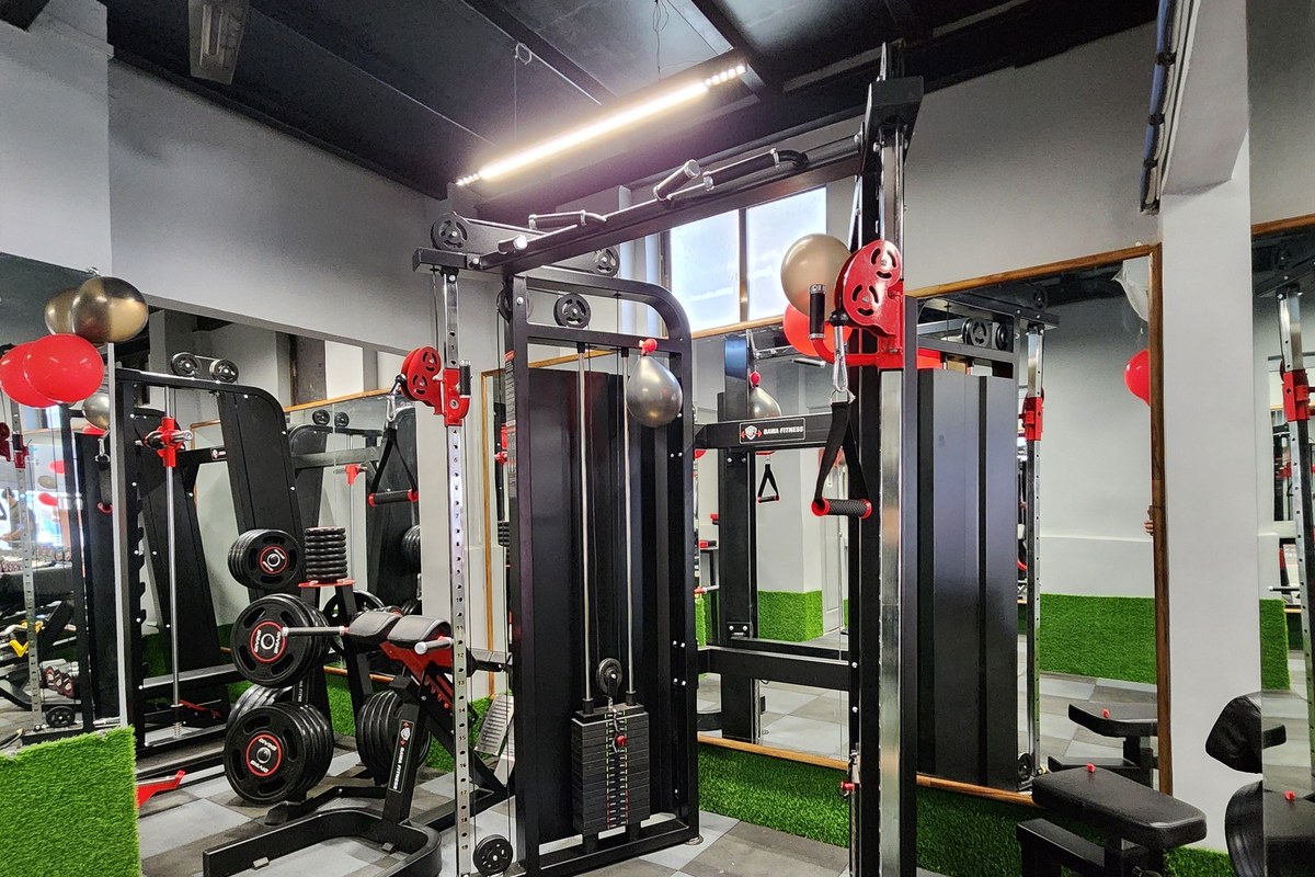 Dual Adjustable Cable Crossover and Pull-Up Rig