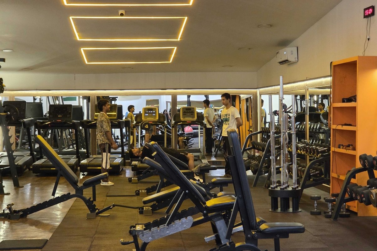 Free Weights Dumbbell Bay with Olympic Barbells and Adjustable Benches