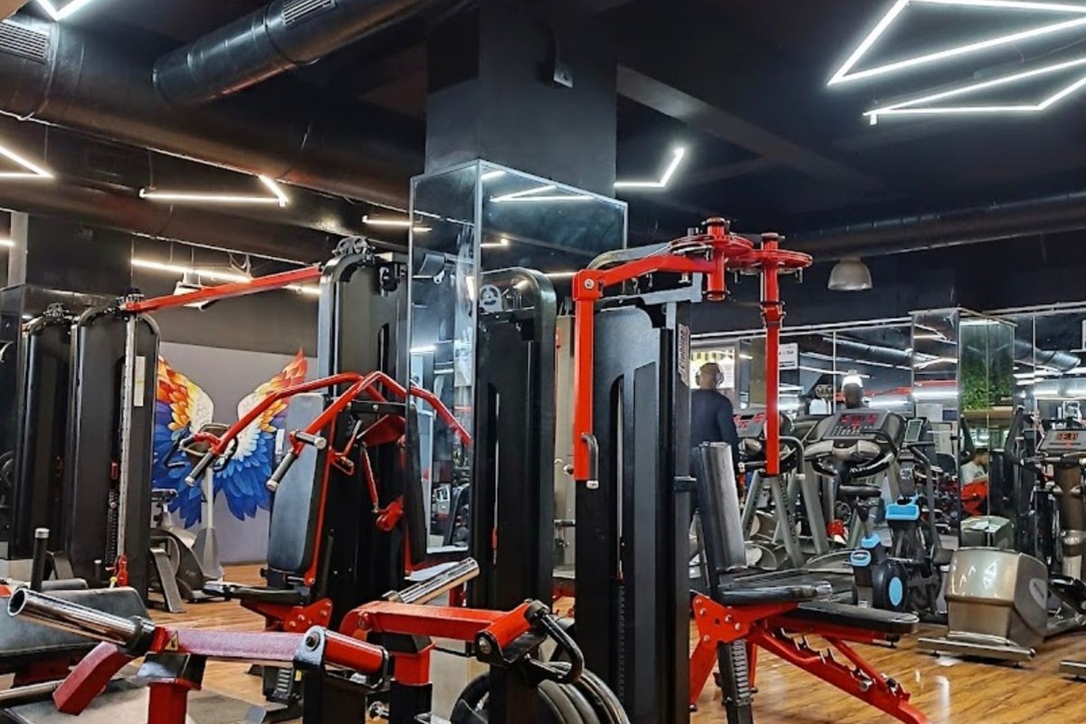 Plate-Loaded T-Bar Row and Strength Floor with Geometric LED Ceiling