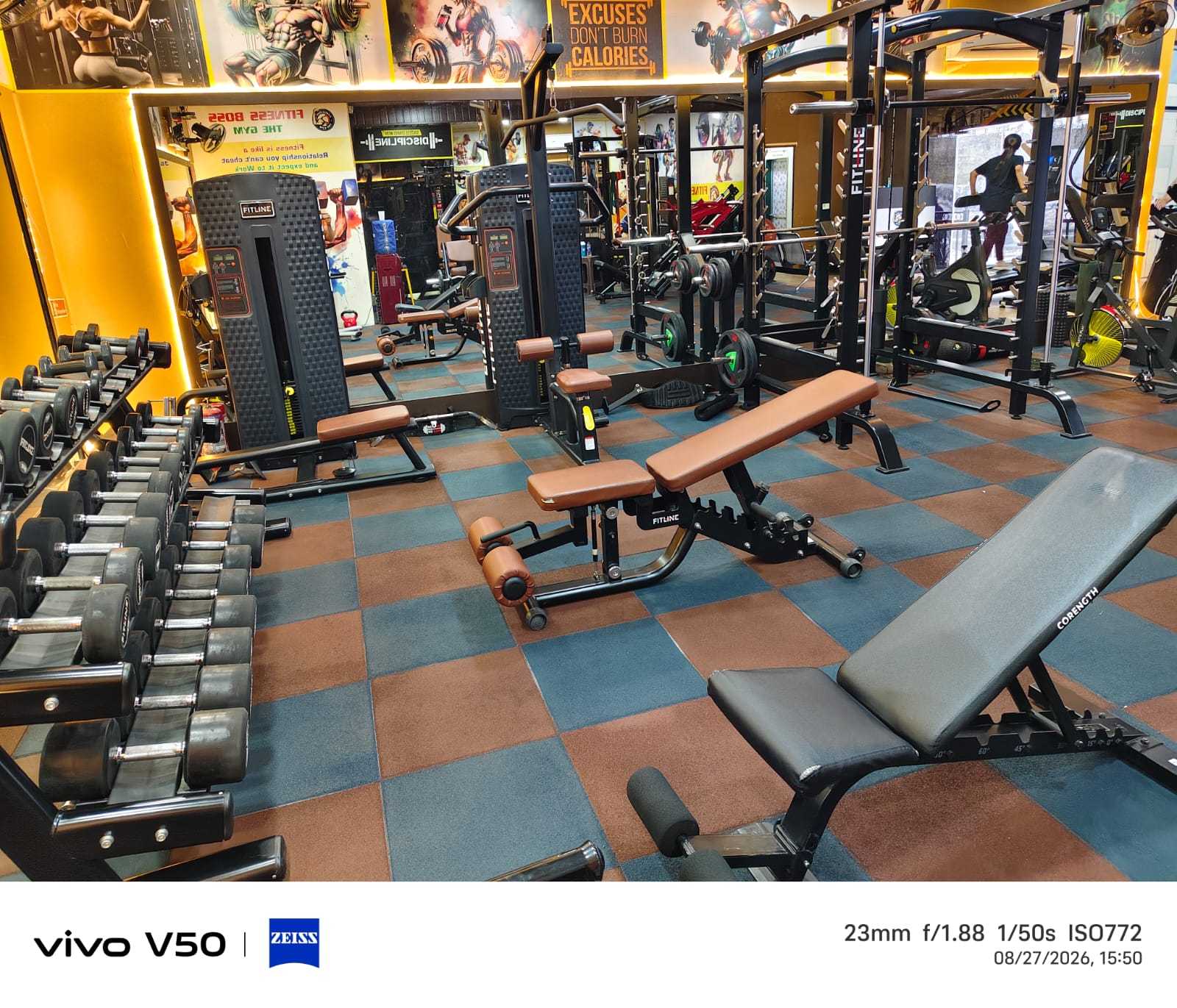 Free Weights Racks, Dumbbells and Benches