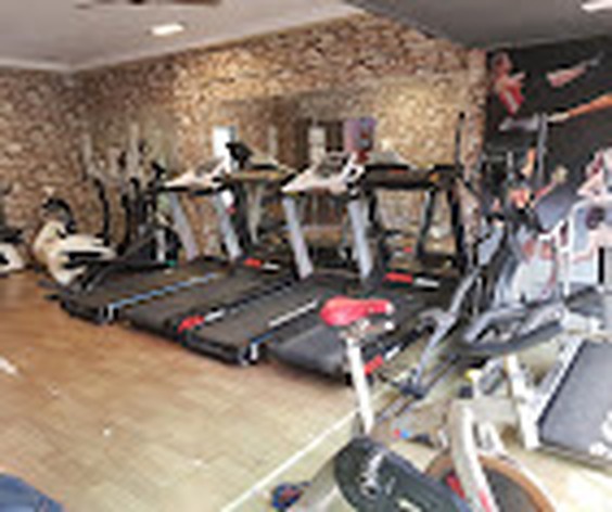 MEGA GYM Motorized Cardio Treadmills & Bikes