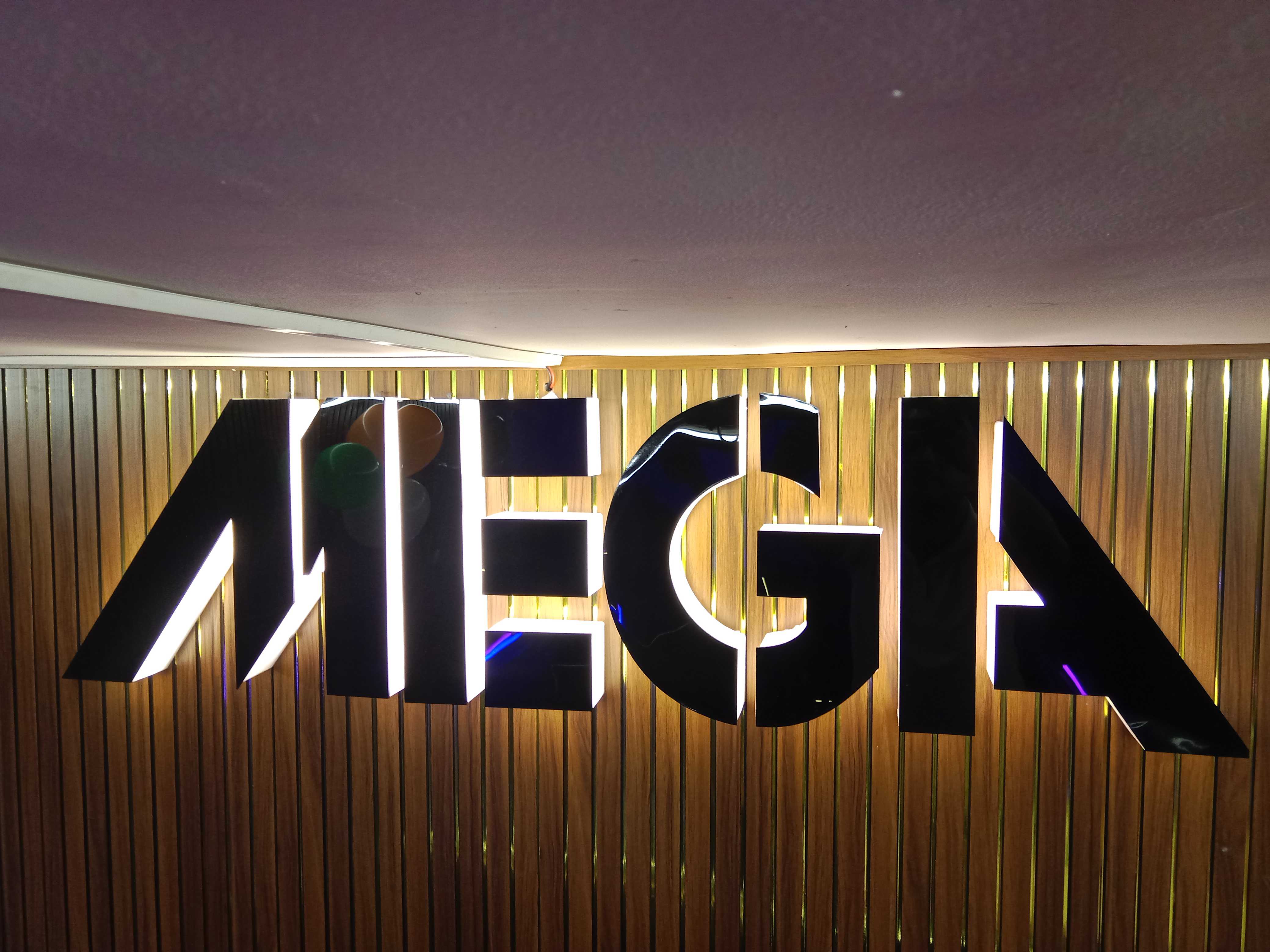 MEGA GYM Backlit Architectural Wood Signage