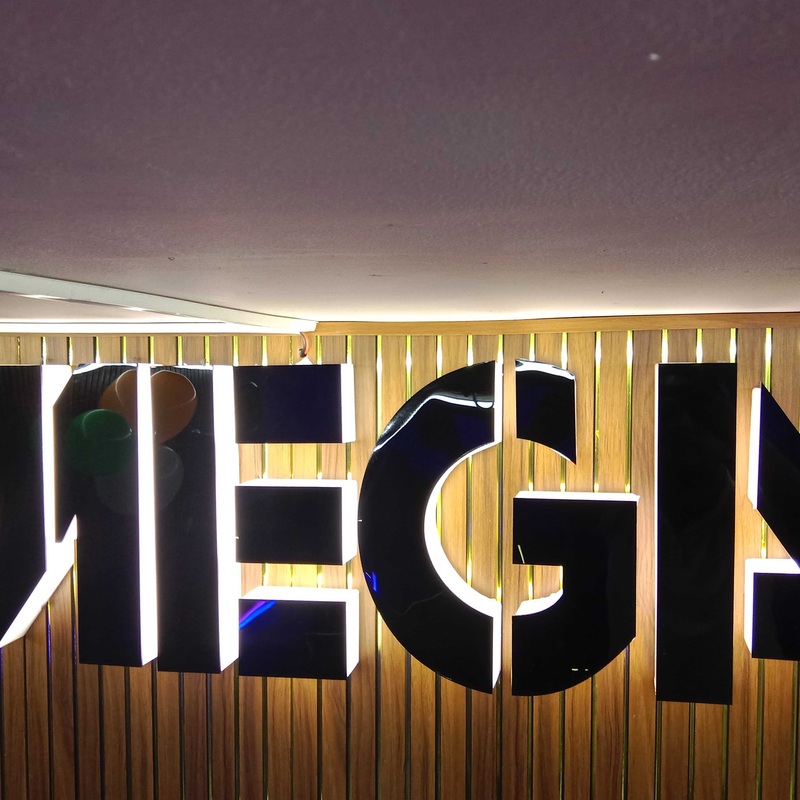 MEGA GYM Logo