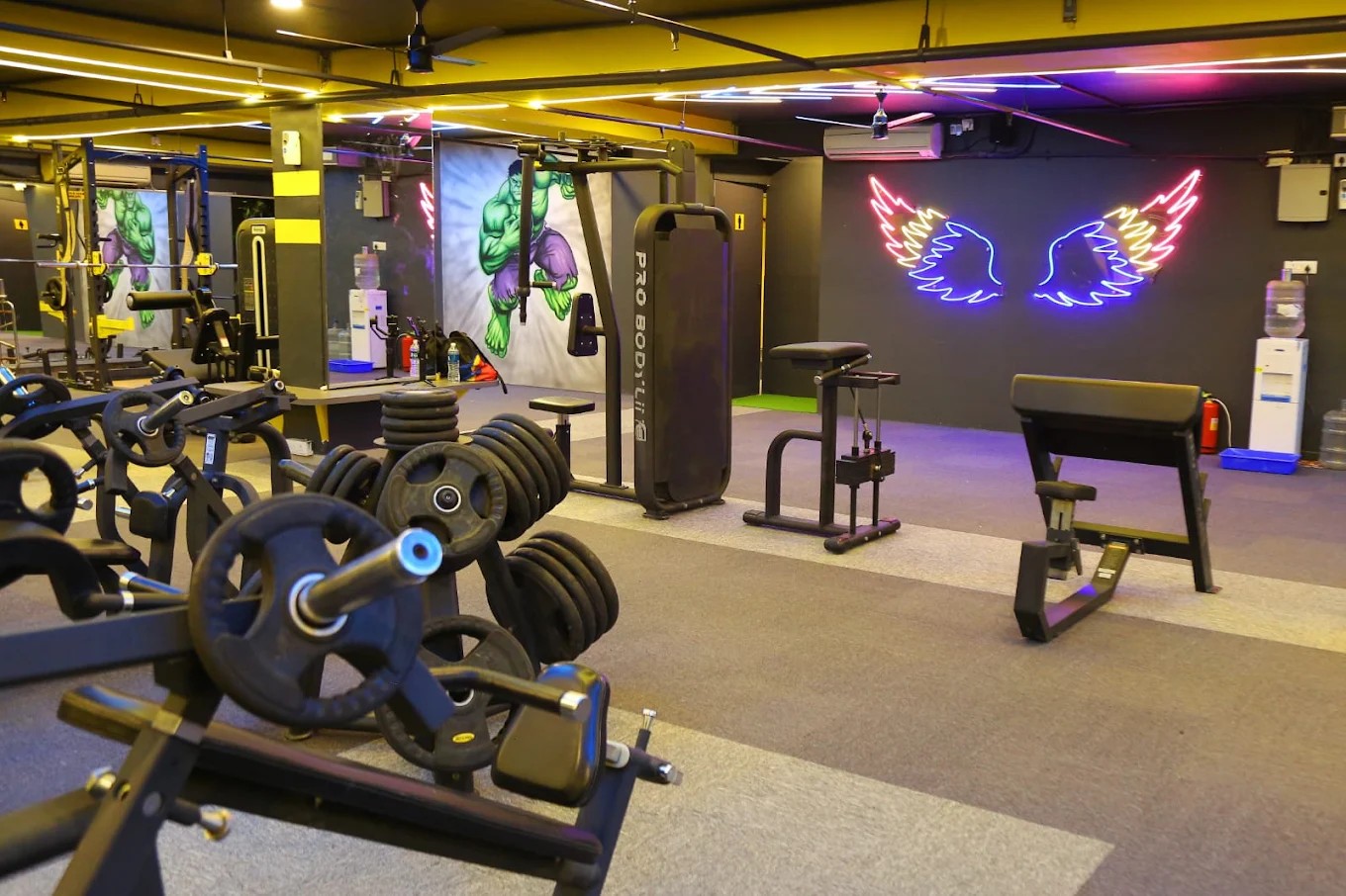 PHYSC GYM Pro Bodyline Cable Crossover & Preacher Curl Station
