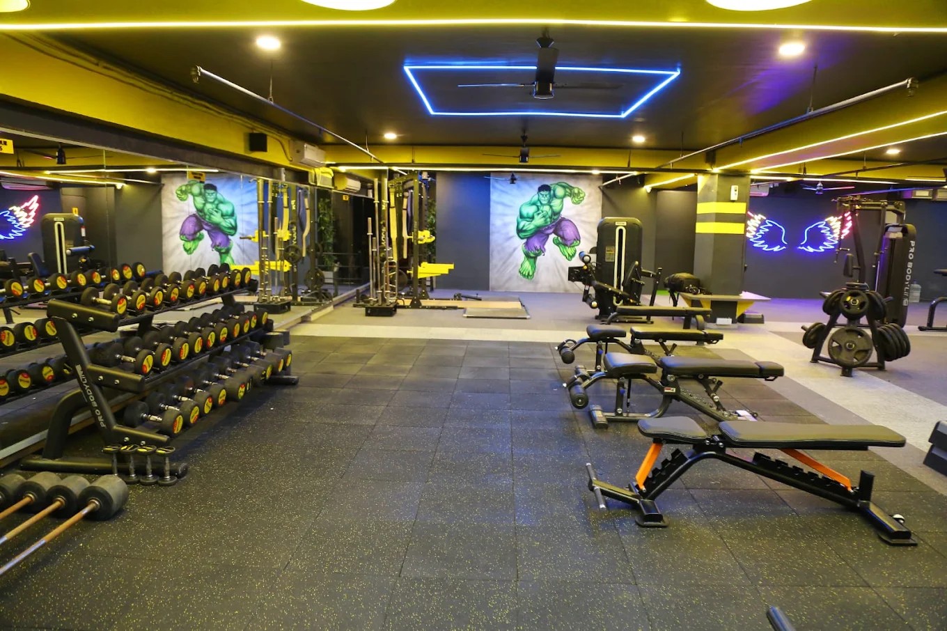 PHYSC GYM Heavy Urethane Dumbbell Racks & Hulk Mural