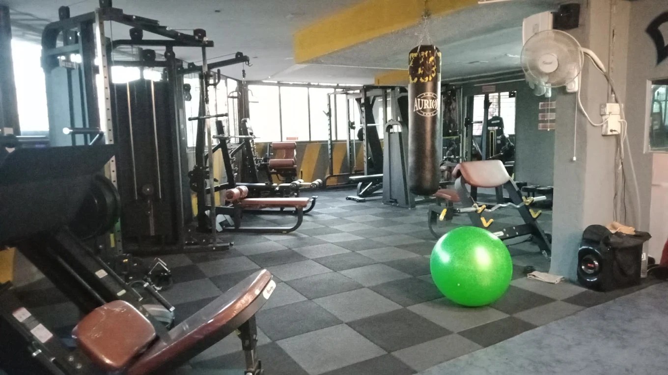 SK ZONE Free Weights Benches & Dumbbell Workout Zone