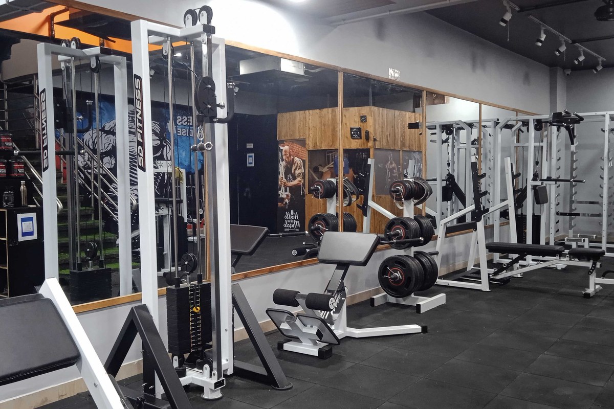 The Fitness Paradise
