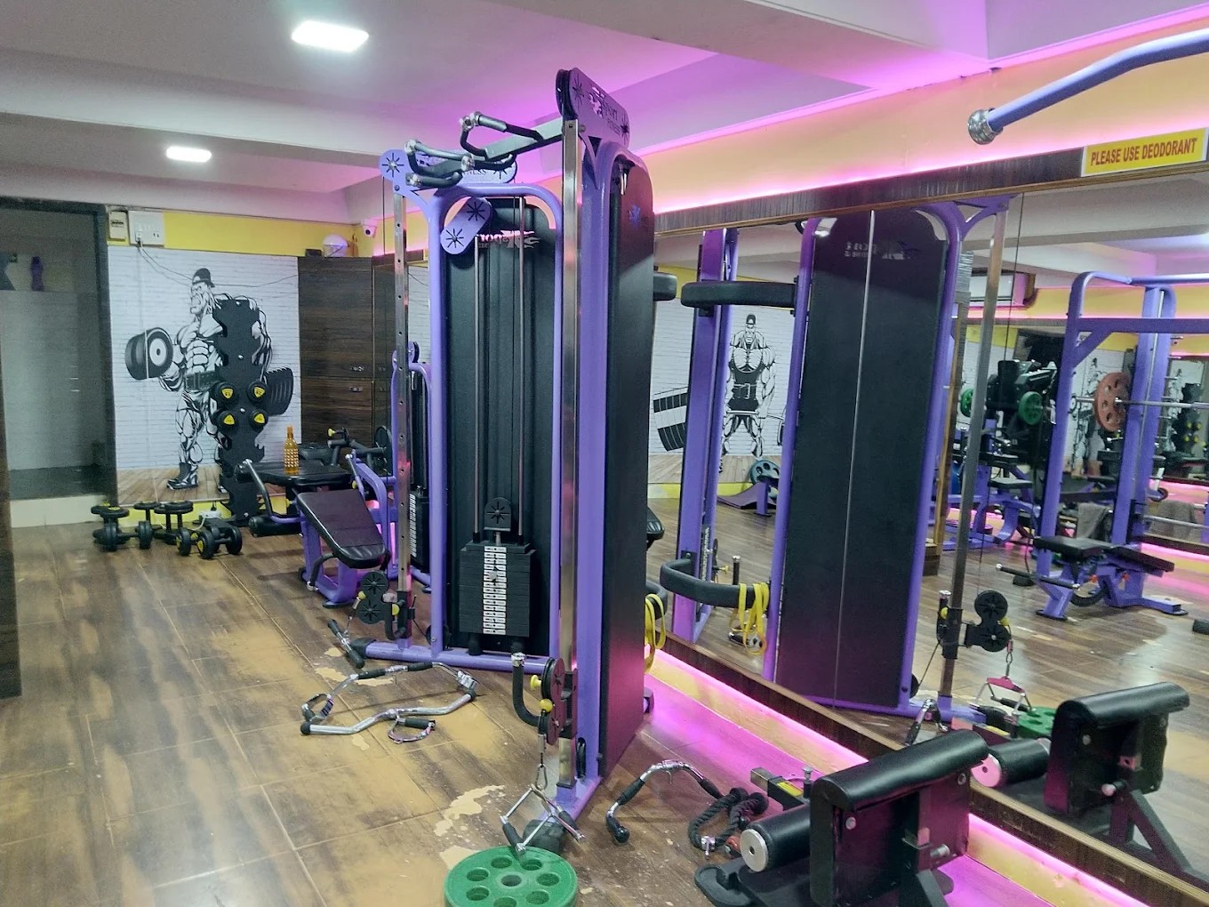 TRIANGULAR FITNESS STUDIO Dual Cable Functional Trainer & Neon Lighting