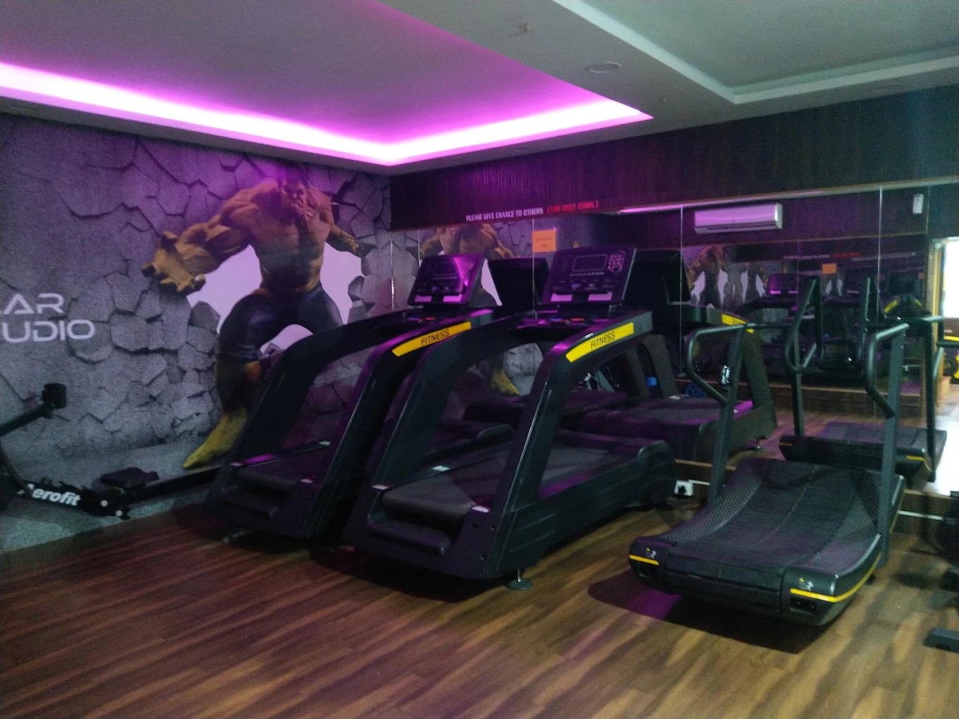 TRIANGULAR FITNESS STUDIO Curved Treadmills & 3D Hulk Wall Mural